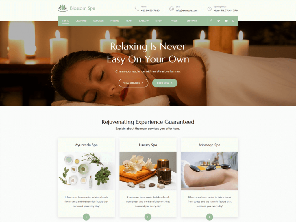 thiết kế web spa